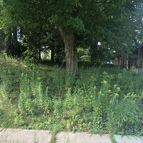 Odil21 08s2 | property photo | ontario tax sales